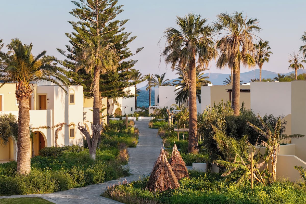 A pathway leading through a garden with palm trees and a building with white walls and arched doorways.