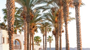 Un resort con altas palmeras, ventanas arqueadas y vistas a las montañas.
