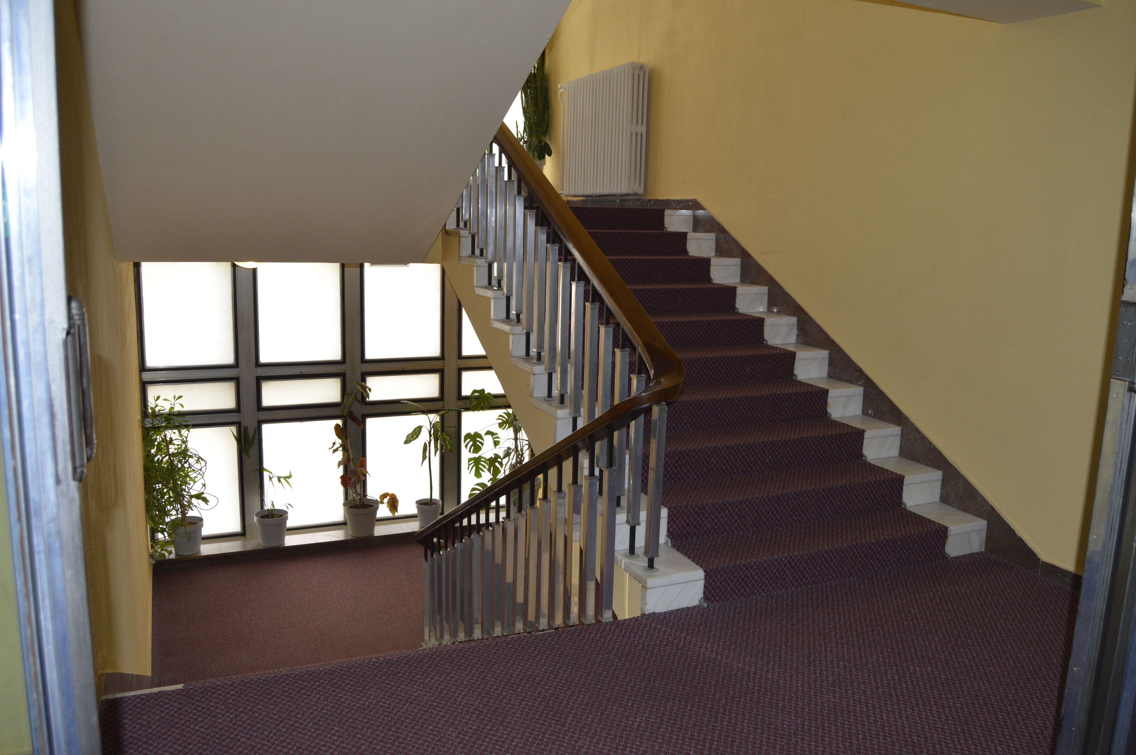 Un escalier doté d’une rampe, de marches recouvertes de moquette et de plantes en pot sur le palier.