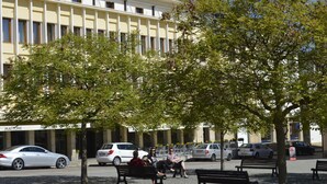 Un bâtiment avec une rangée de fenêtres et un arbre devant.