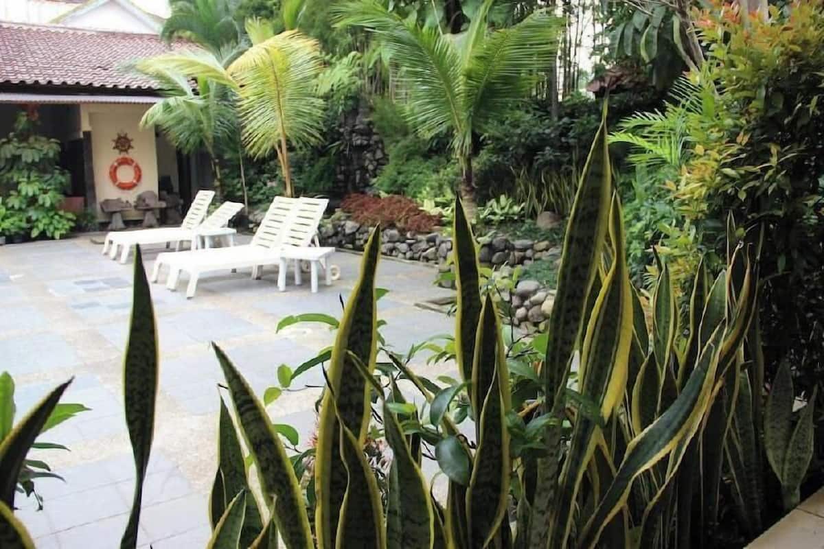 A patio with lounge chairs, a stone pathway, and tropical plants.