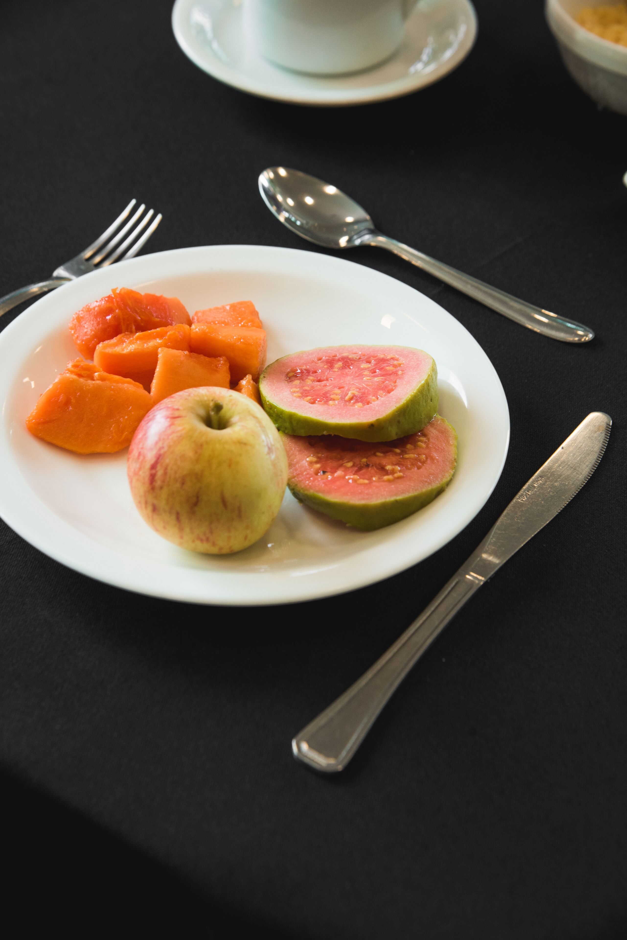 A plate with sliced watermelon, cantaloupe, and an apple on a black tablecloth.