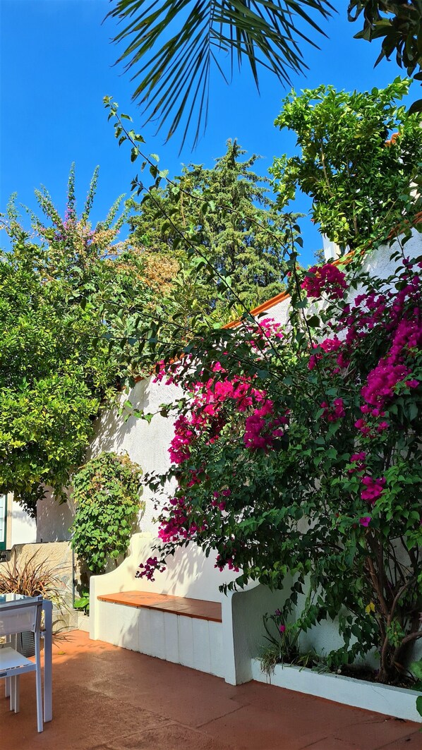 Pared blanca con un banco, rodeada de exuberante follaje y coloridas flores de buganvilla.