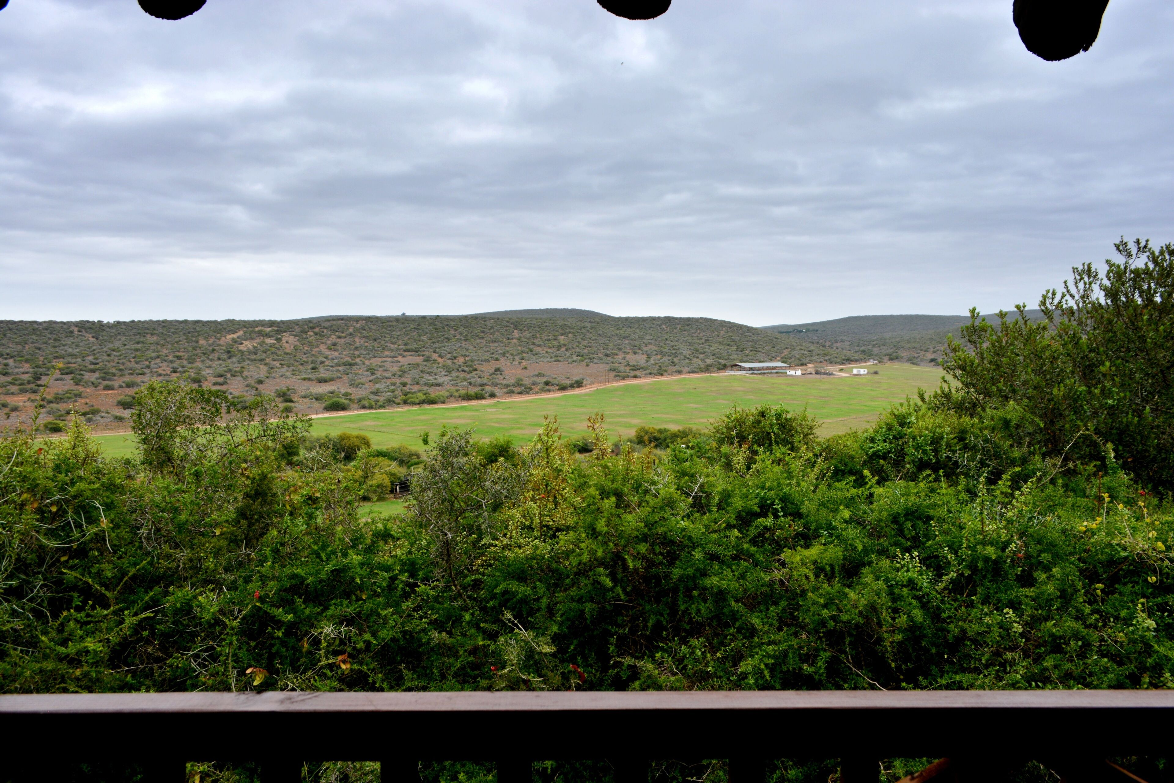 Une vue depuis un balcon donnant sur un champ verdoyant et des collines lointaines, sous un ciel nuageux.