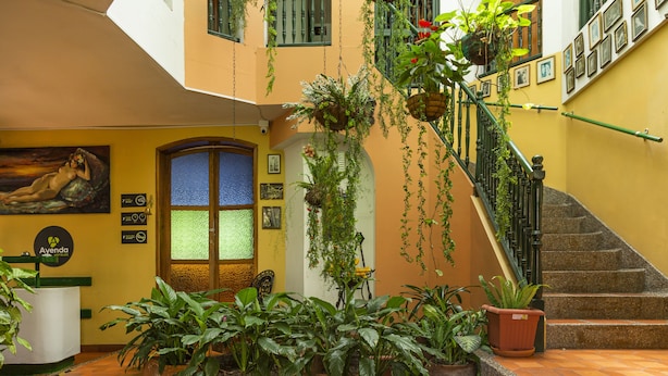 A reception area with a reception desk, a staircase, and various potted plants. - Hotel Ayenda Habana Vieja 1221 (Medellín)