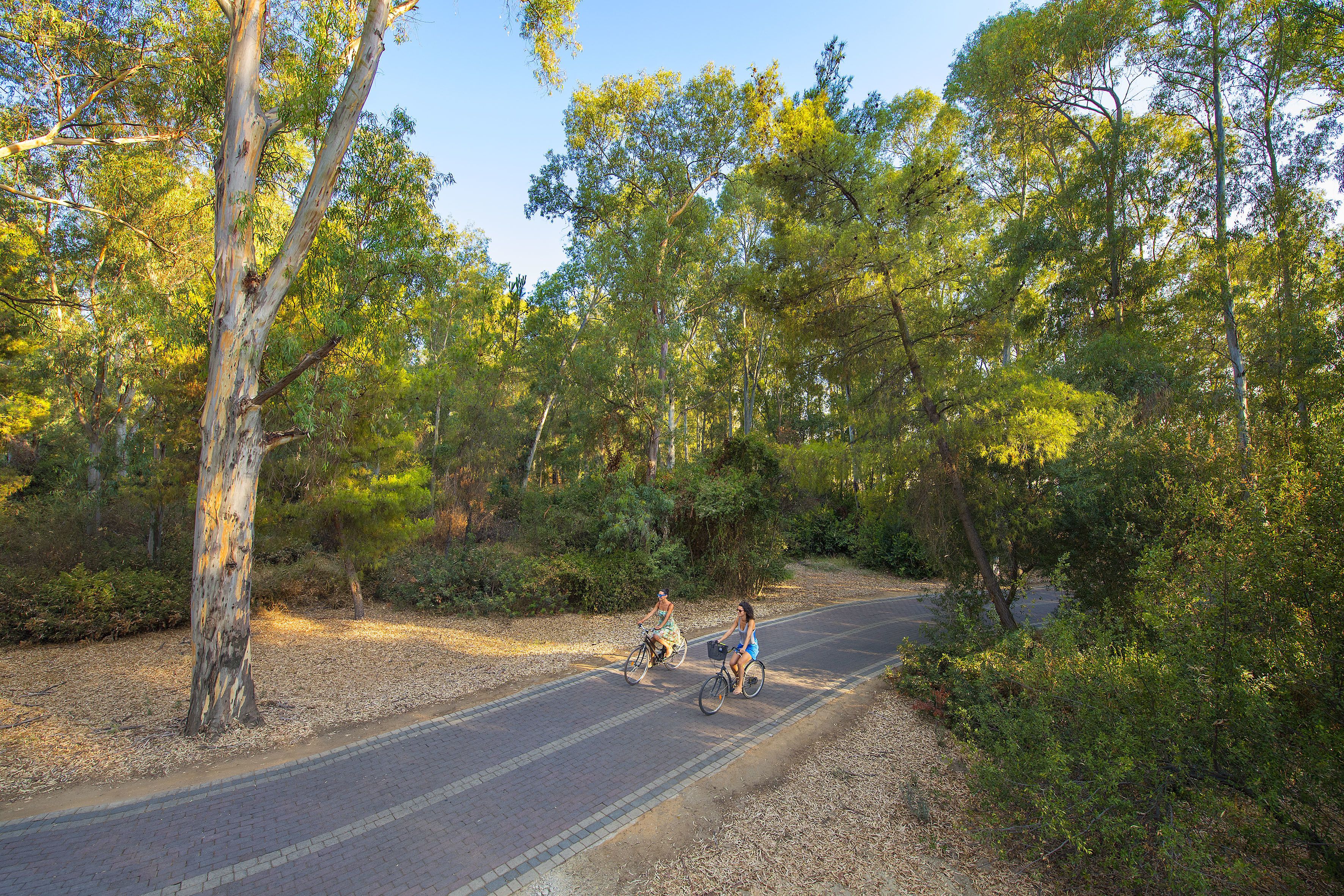 Foto - Sibari Green Resort