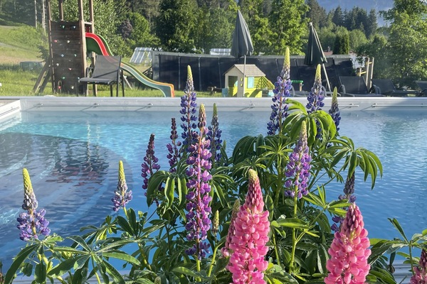 Una piscina al aire libre de temporada (de 08:00 a 22:00), sombrillas