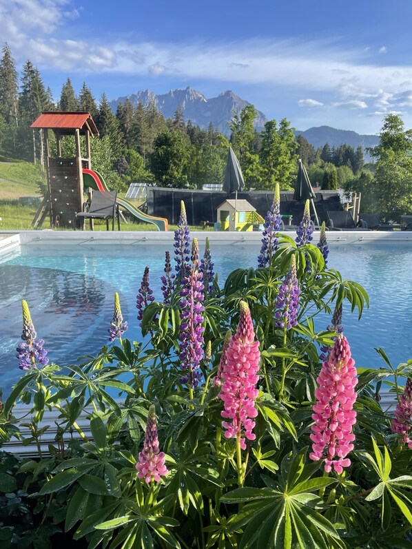Außenpool (je nach Saison geöffnet), Sonnenschirme, Liegestühle
