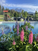 Una piscina al aire libre de temporada, sombrillas