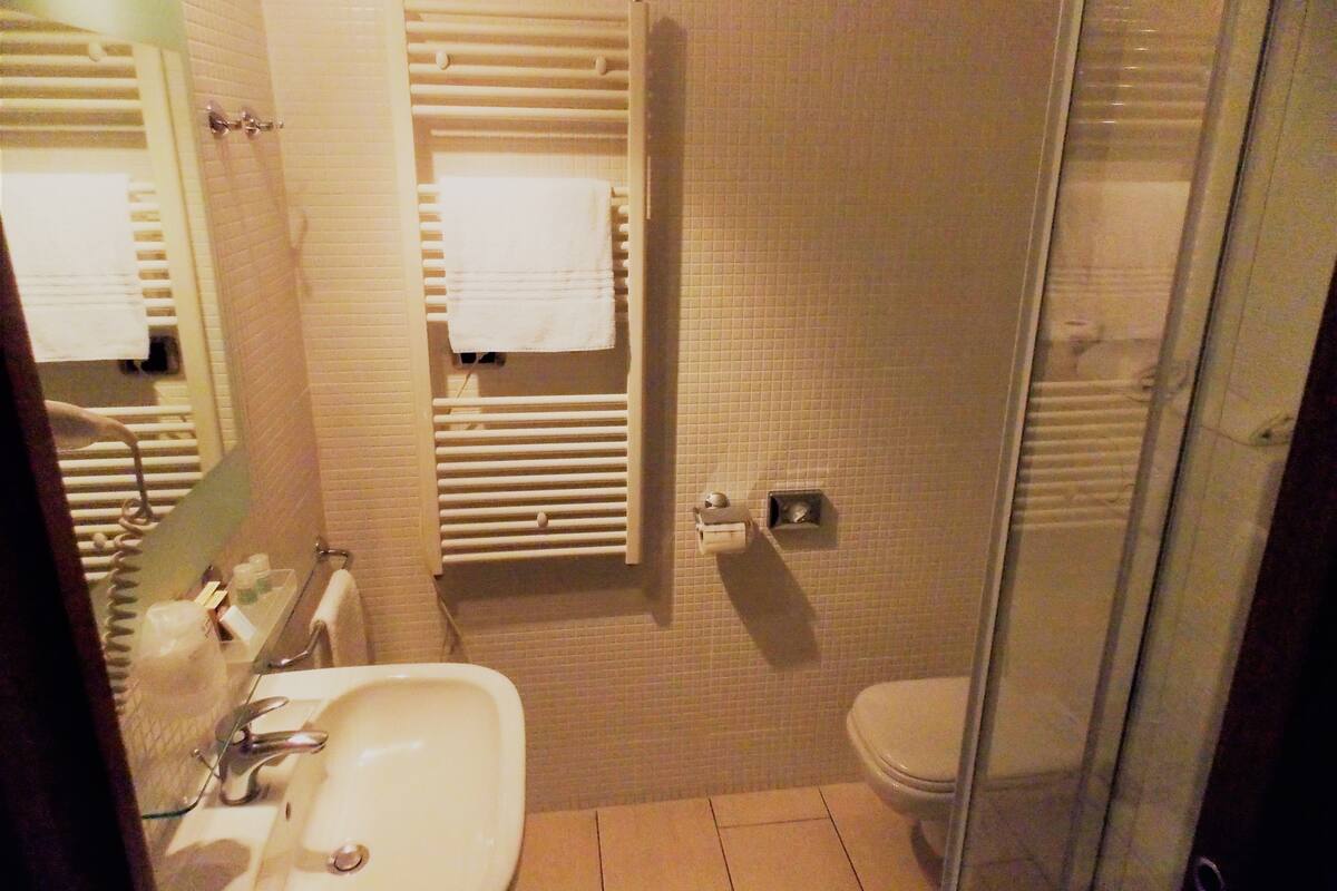 double or twin room | bathroom | free toiletries, hair dryer, slippers, bidet
