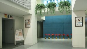 A modern lobby with a blue wall, hanging plants, and red flowers. - Jinjiang Inn East Shanghai New International Exhibition Ctr (Shanghai)