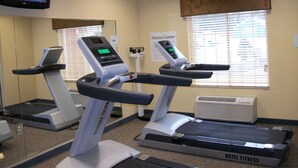 A fitness center with treadmills, a stationary bike, and a television screen displaying a news broadcast. - Holiday Inn Express Cortland by IHG (Cortland)