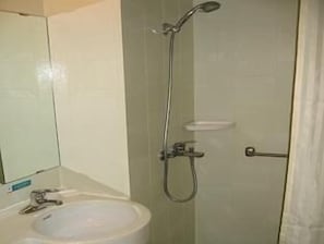 Une salle de bain avec une douche, un lavabo et un miroir.