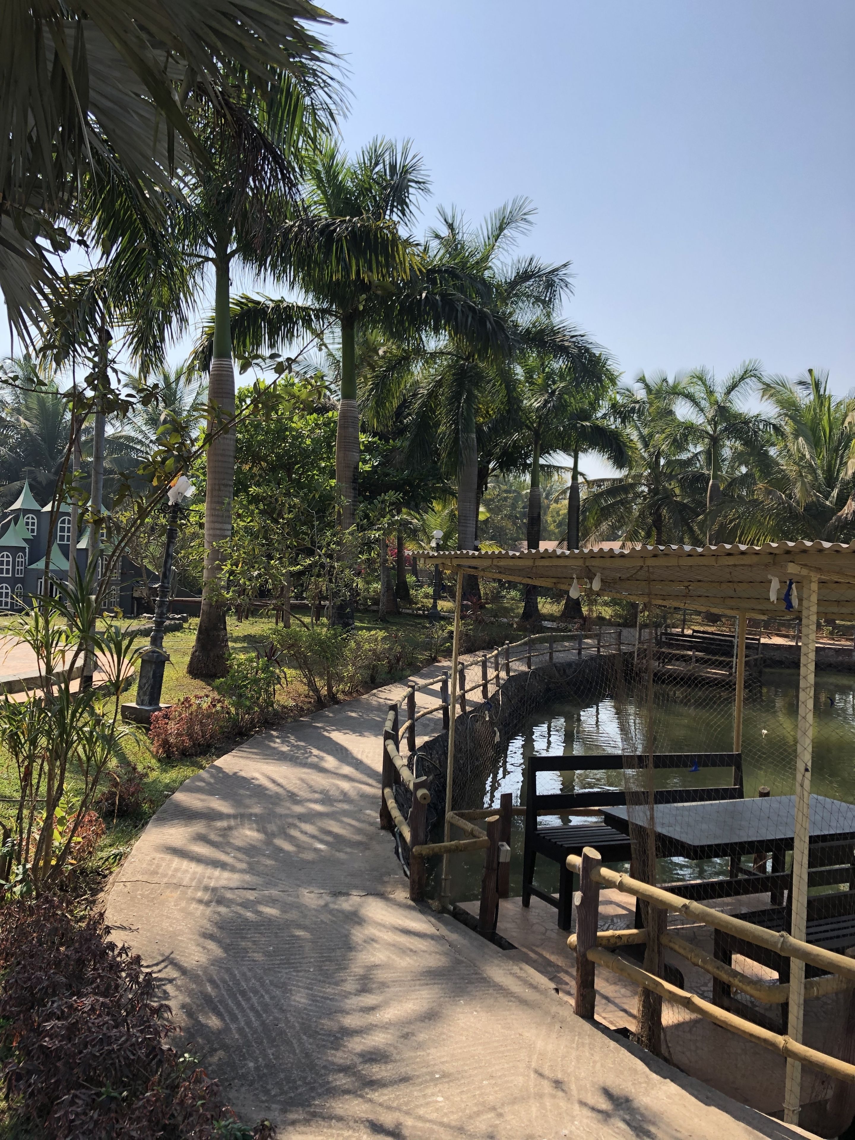 A pathway with a wooden bridge over a water body, surrounded by palm trees and greenery.