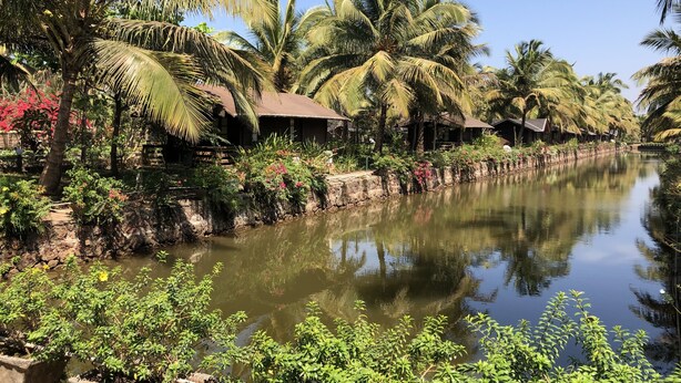 A serene riverside setting with palm trees and a calm water body. - Resort Primo Bom Terra Verde (Baga)