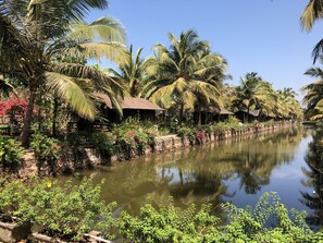 A serene riverside setting with palm trees and a calm water body. - Resort Primo Bom Terra Verde (Baga)