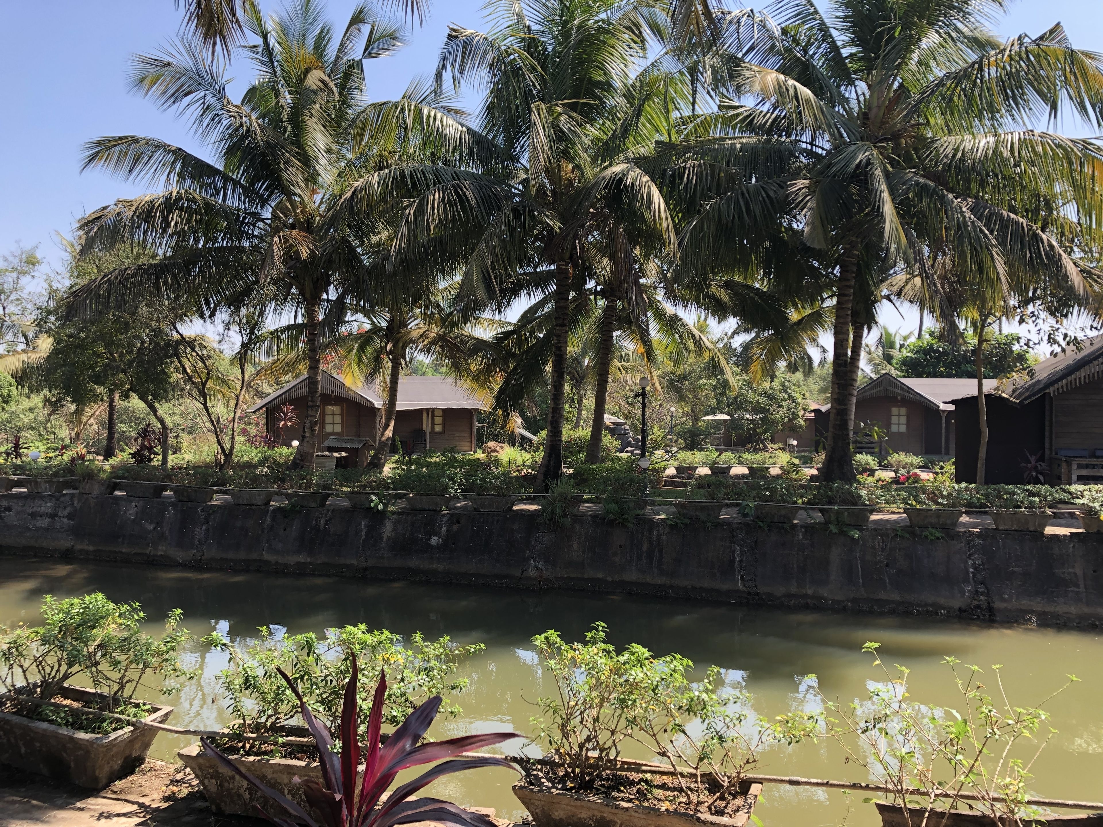 A serene riverside view with palm trees and traditional wooden buildings.