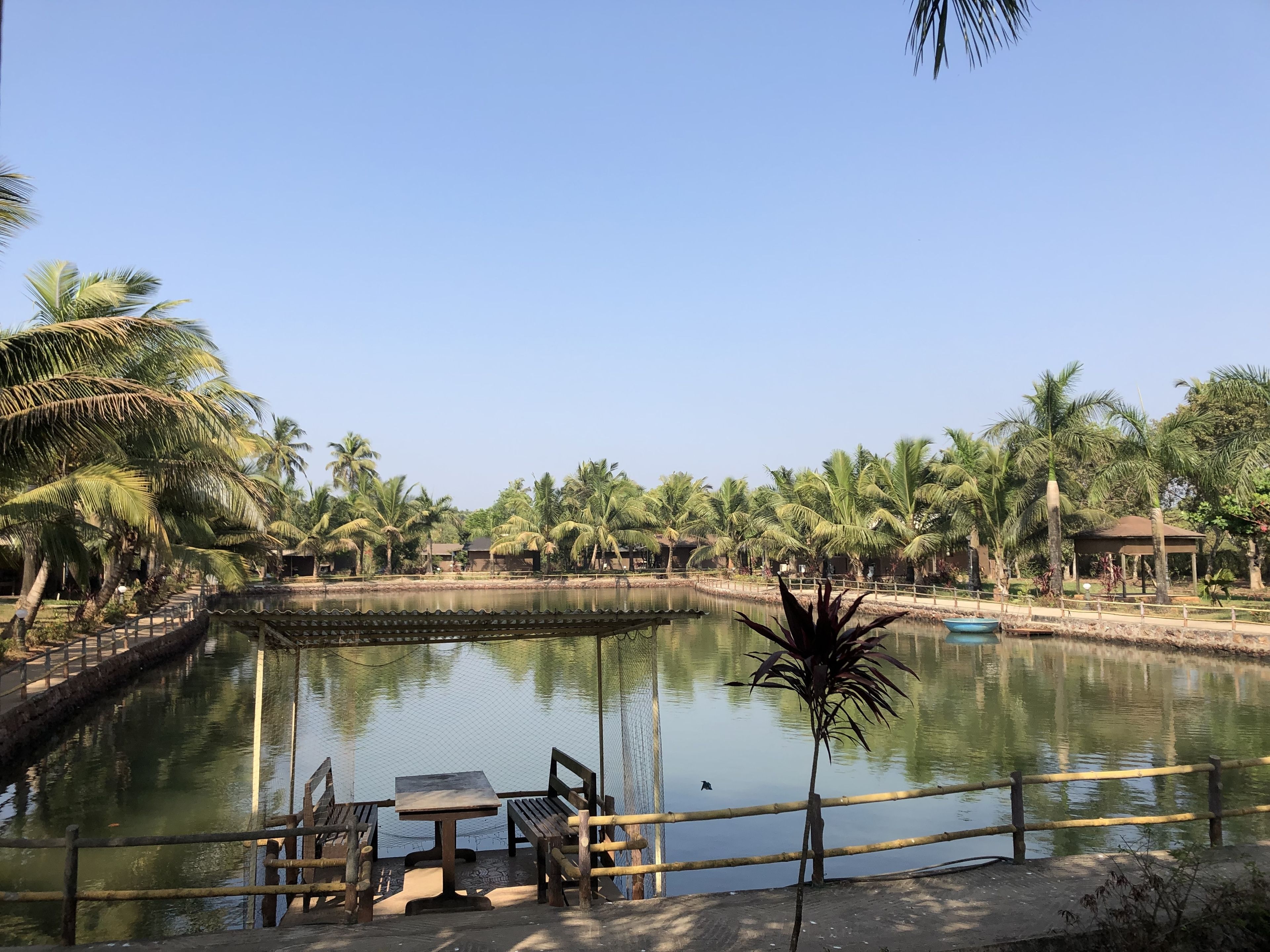 Uitzicht op het meer