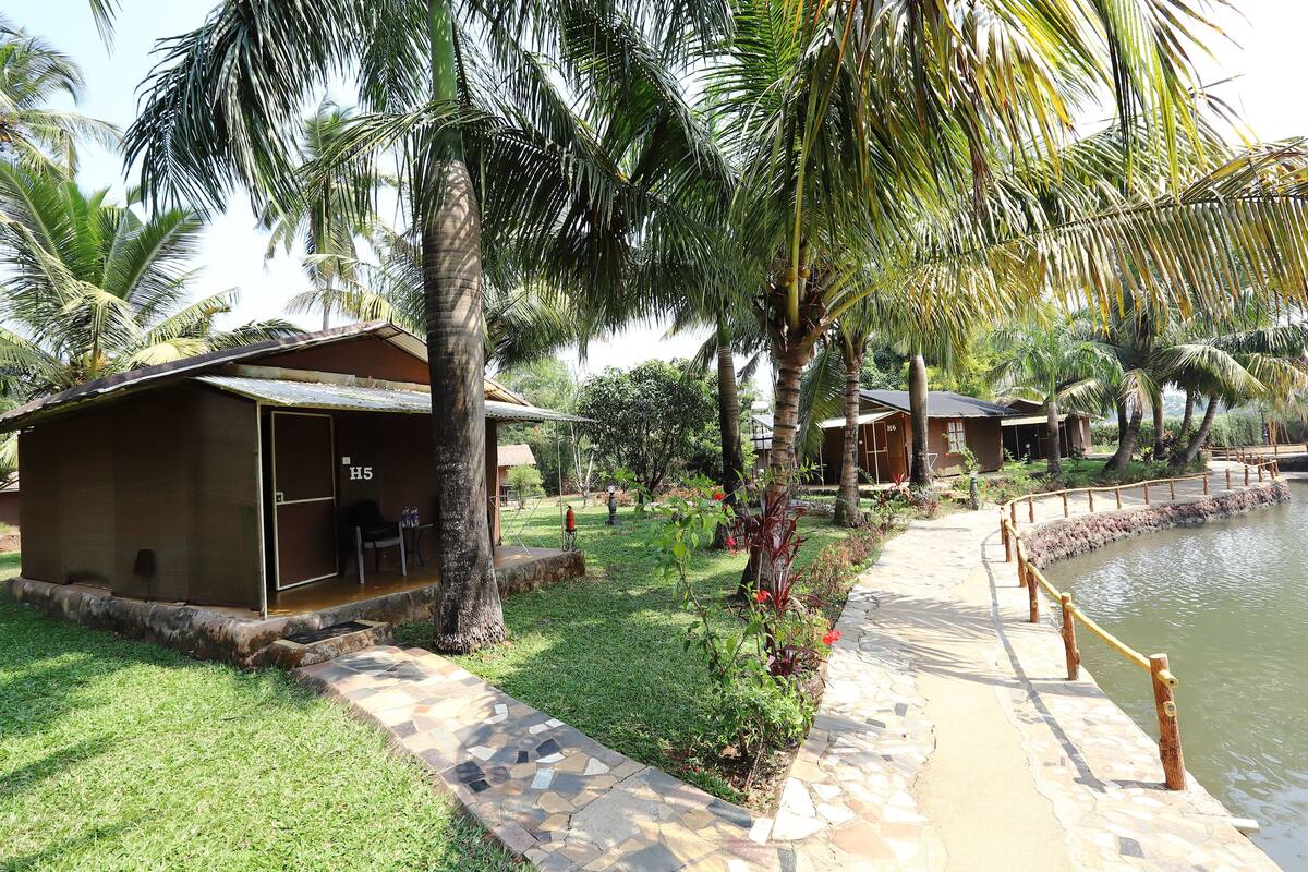 A resort with palm trees, a pool, and a pathway leading to the pool area.