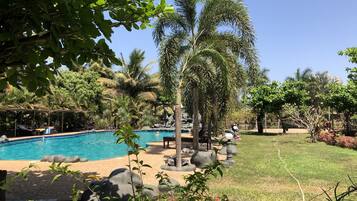 A swimming pool surrounded by palm trees and rocks, with a grassy area and lounge chairs.