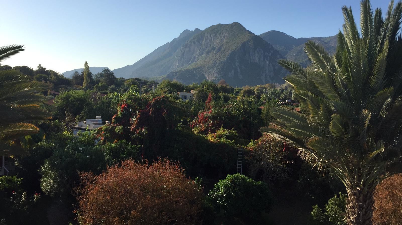 standard room, balcony | balcony view