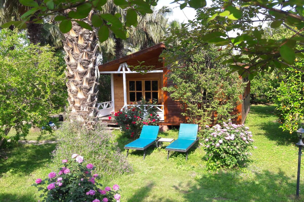 A wooden cabin with a porch, two blue lounge chairs, and a garden with various plants and flowers.