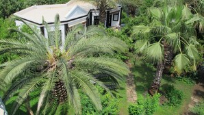 A large house surrounded by lush greenery and palm trees. - Hemerans Anatolia Otel (Kemer)