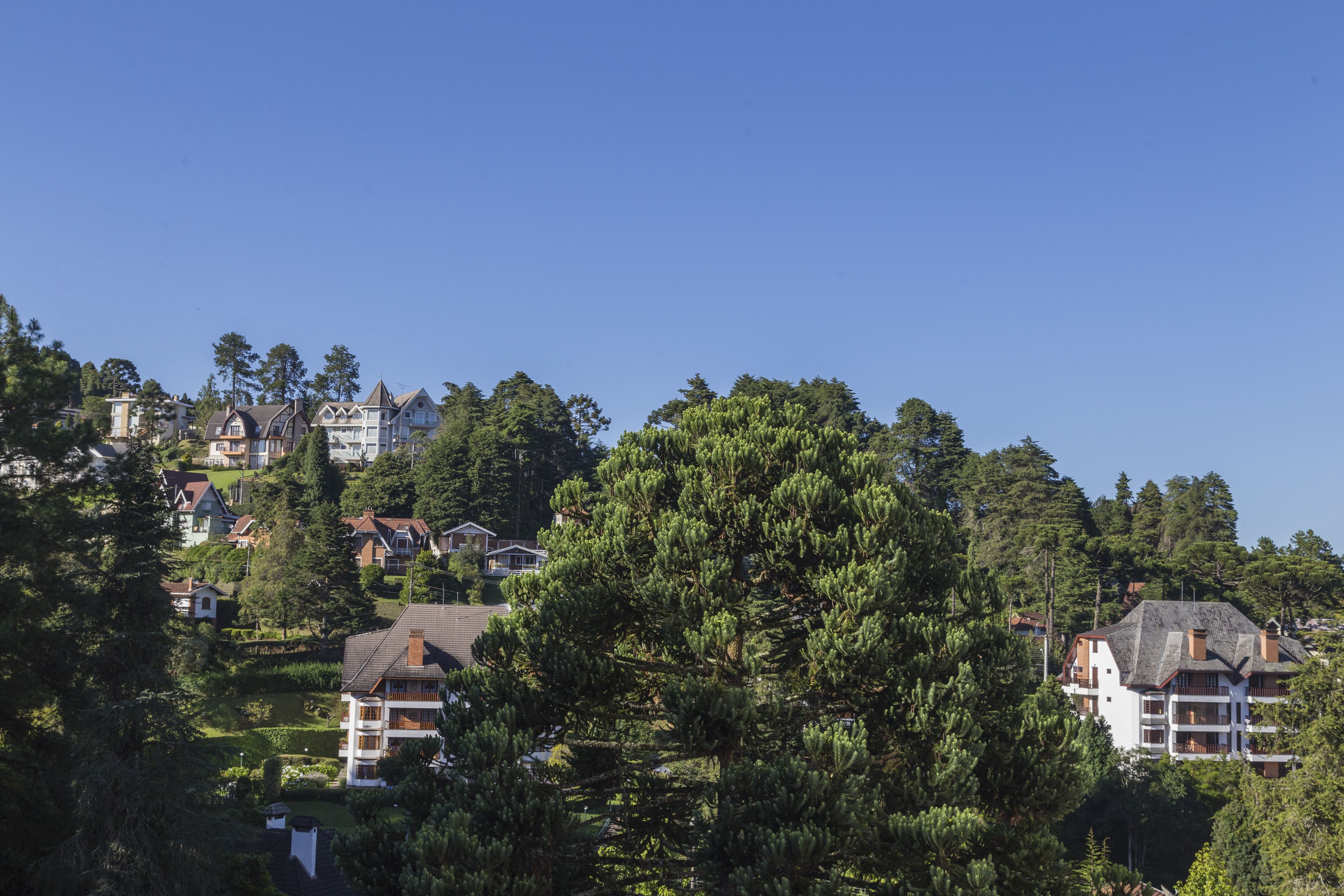 Photo - Hotel Leão da Montanha