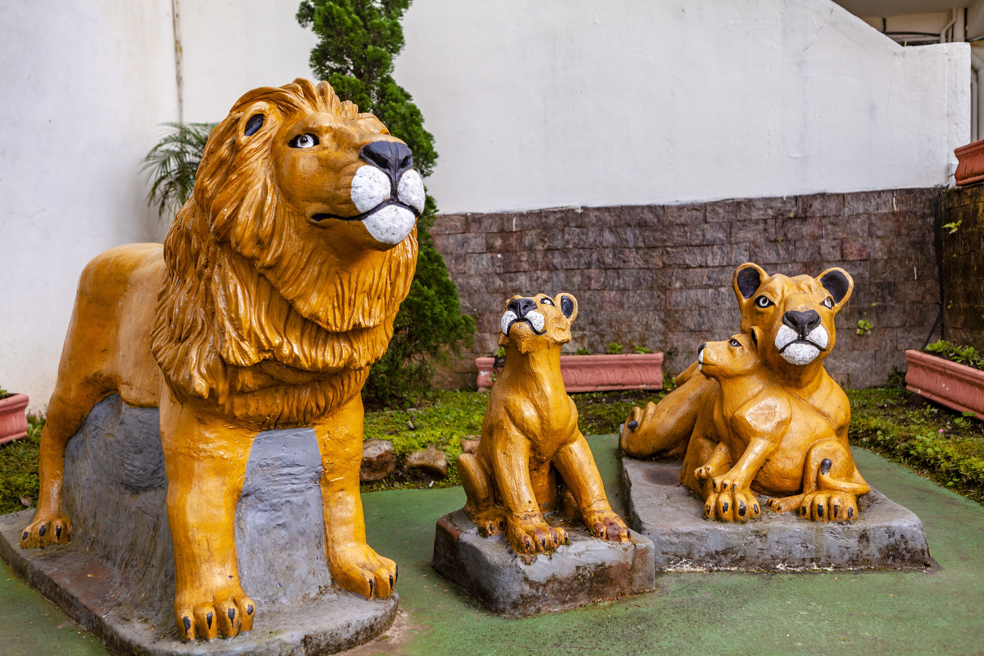 Photo - Hotel Leão da Montanha