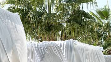 Sundeck