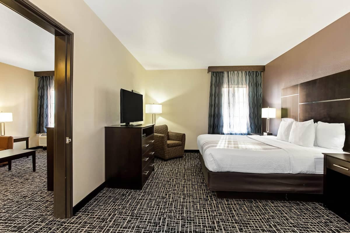 Suite, 1 King Bed, Non Smoking | Premium bedding, down comforters, pillowtop beds, in-room safe