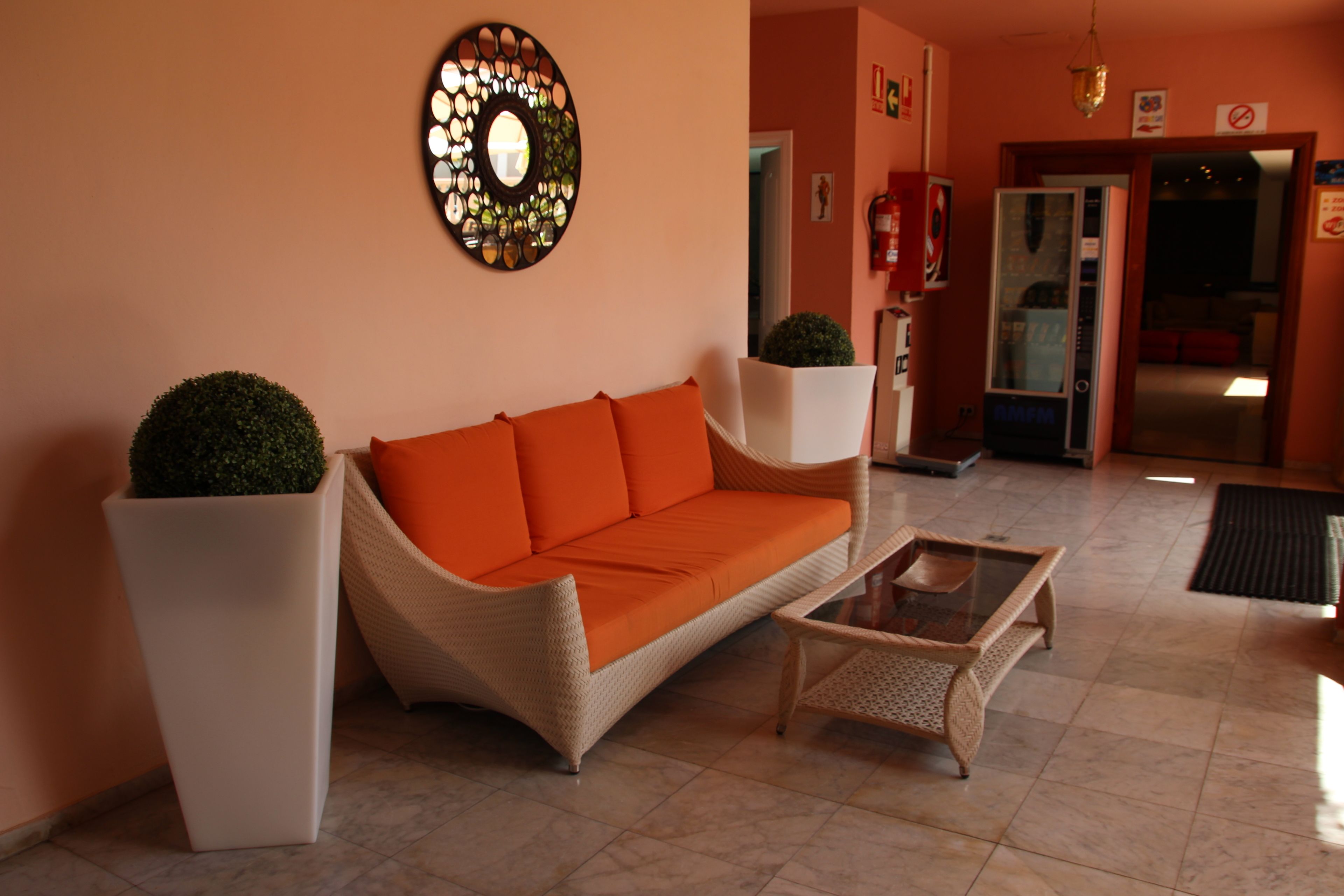 A living room with a sofa, coffee table, and potted plants.