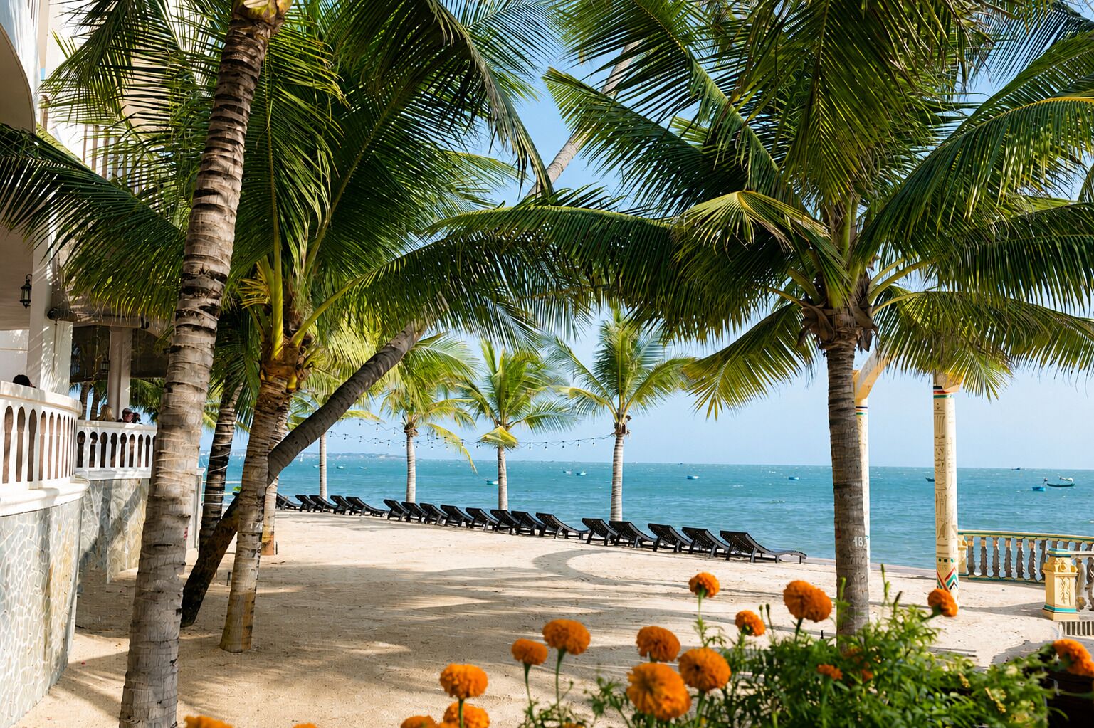 Ein Strand mit Palmen, Liegestühlen und Blick auf das Meer.