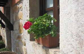 A potted plant with green leaves and a red flower on a stone ledge next to a window. - Hotel Entremontes (Cangas de Onis)