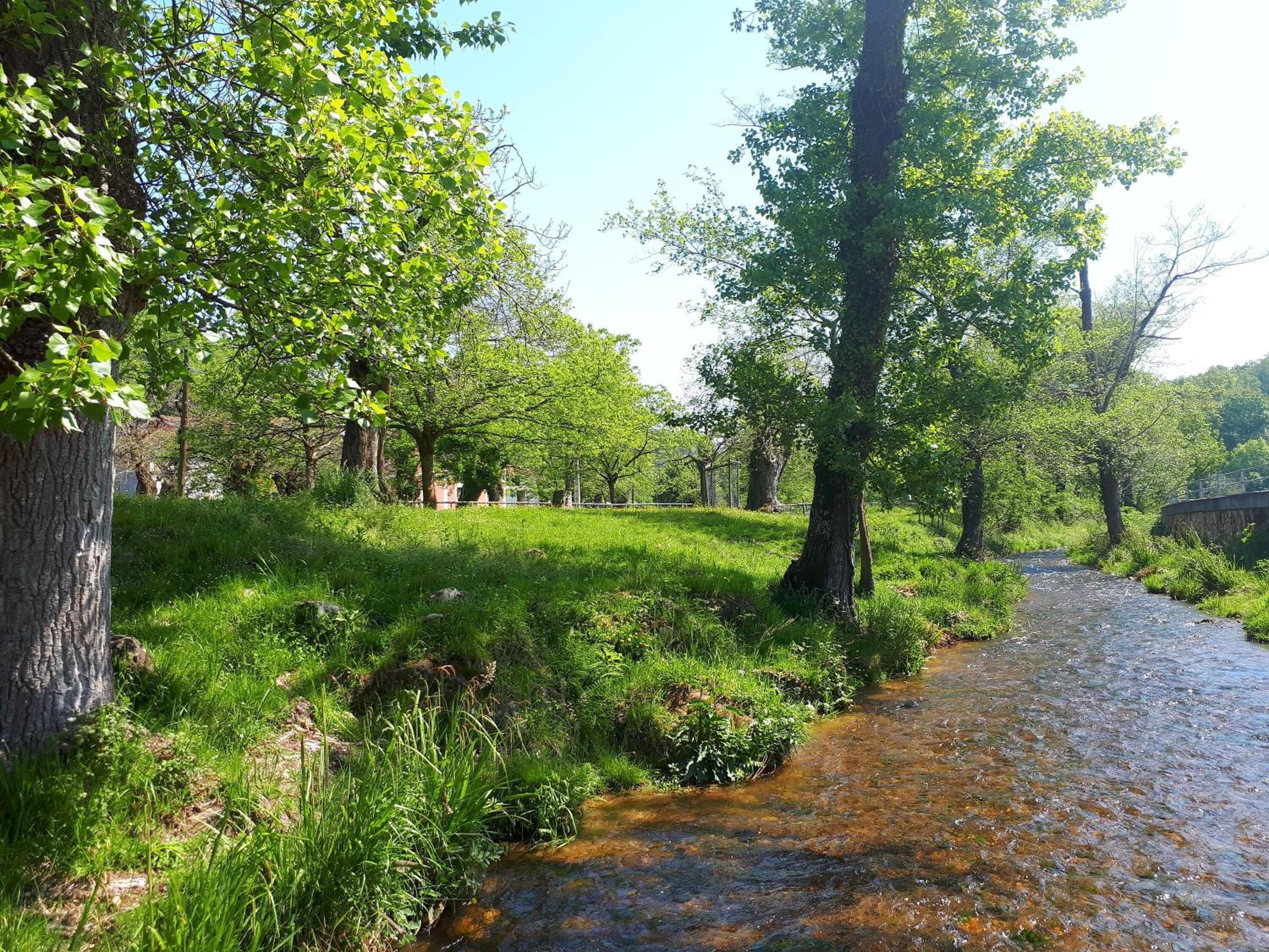 A natural landscape with a stream, trees, and a grassy area.
