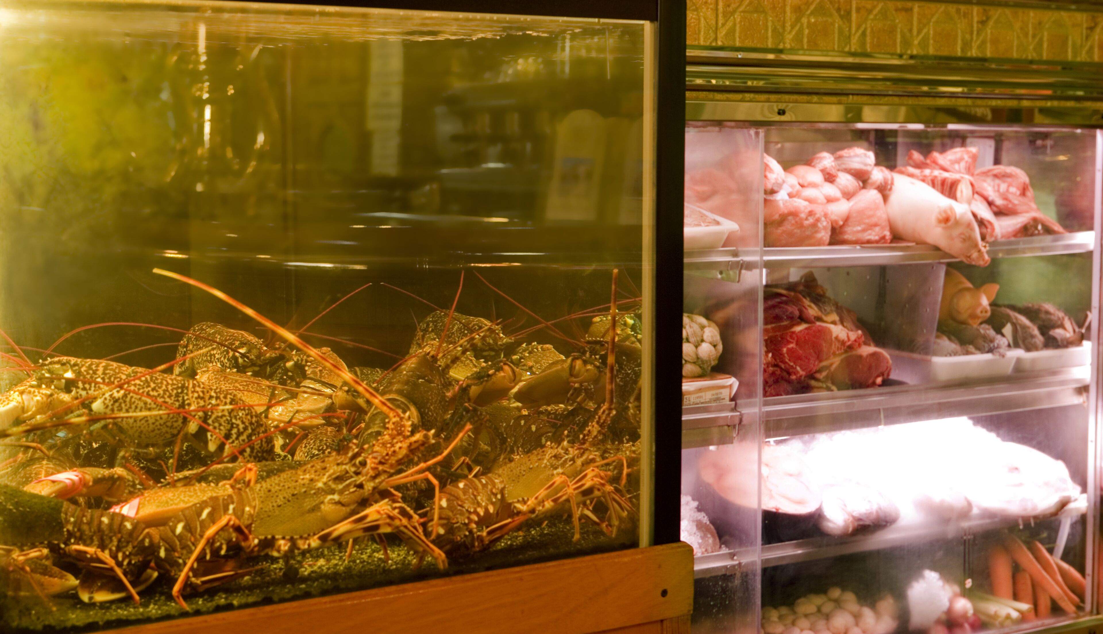 Photo - La Cueva Park