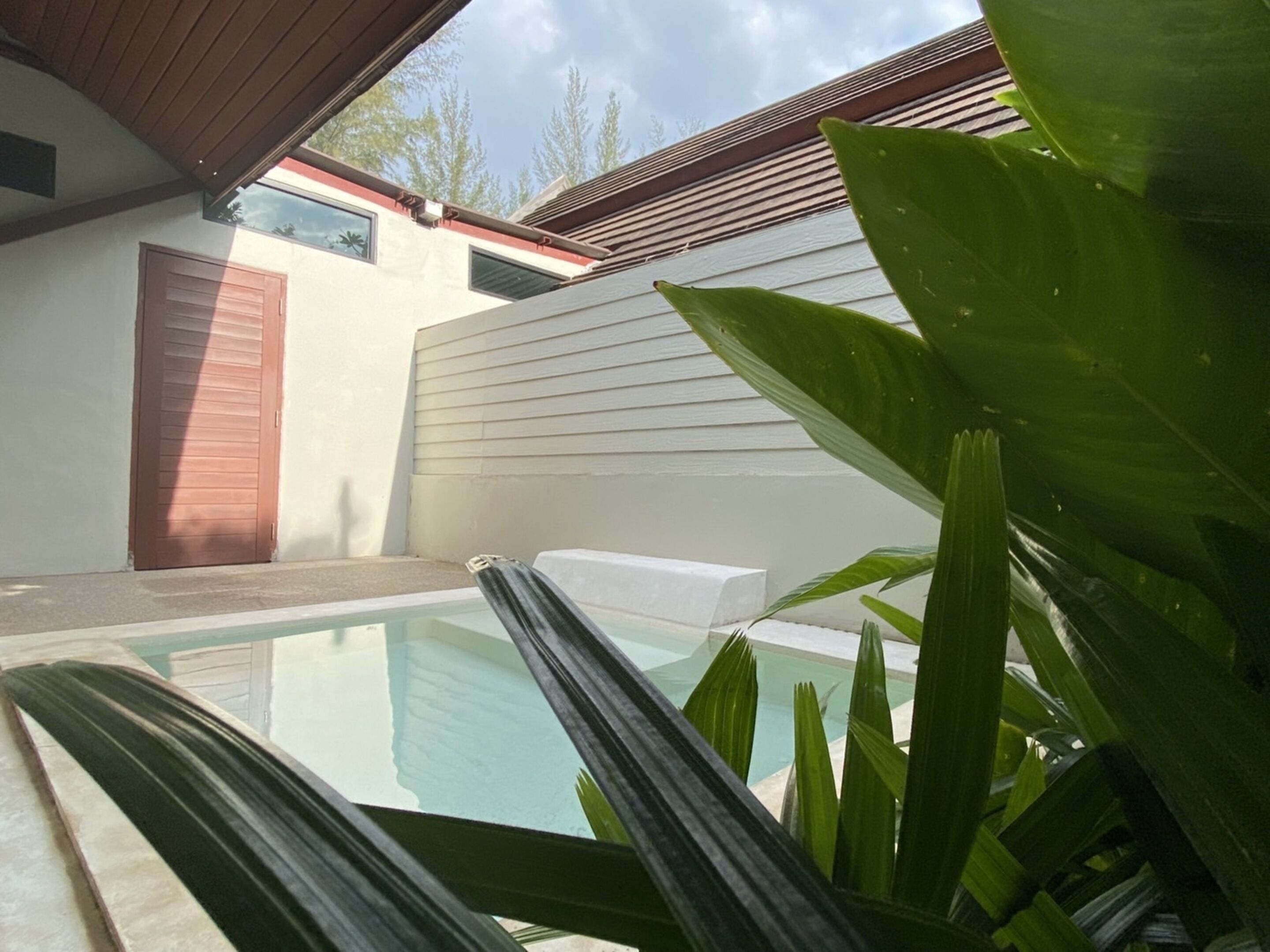 Une piscine entourée d’une terrasse en bois et de grandes plantes vertes.
