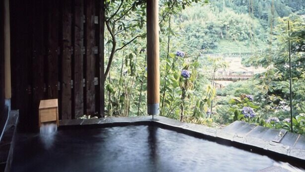 A hot spring area with a wooden bench and a view of lush greenery and a traditional structure in the background.