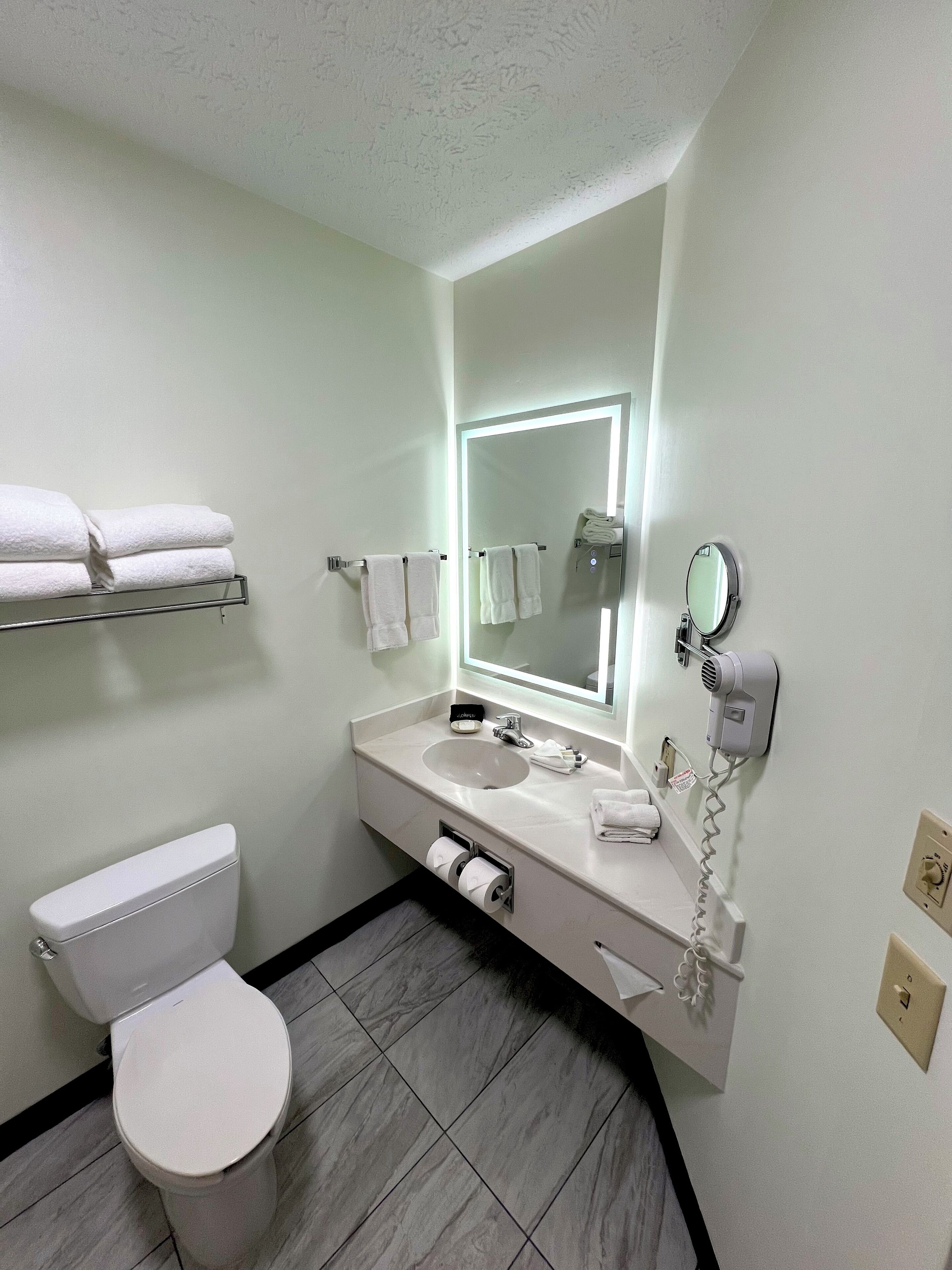1 bedroom king suite with sofa bed | bathroom | combined shower/bathtub, hydromassage showerhead, free toiletries