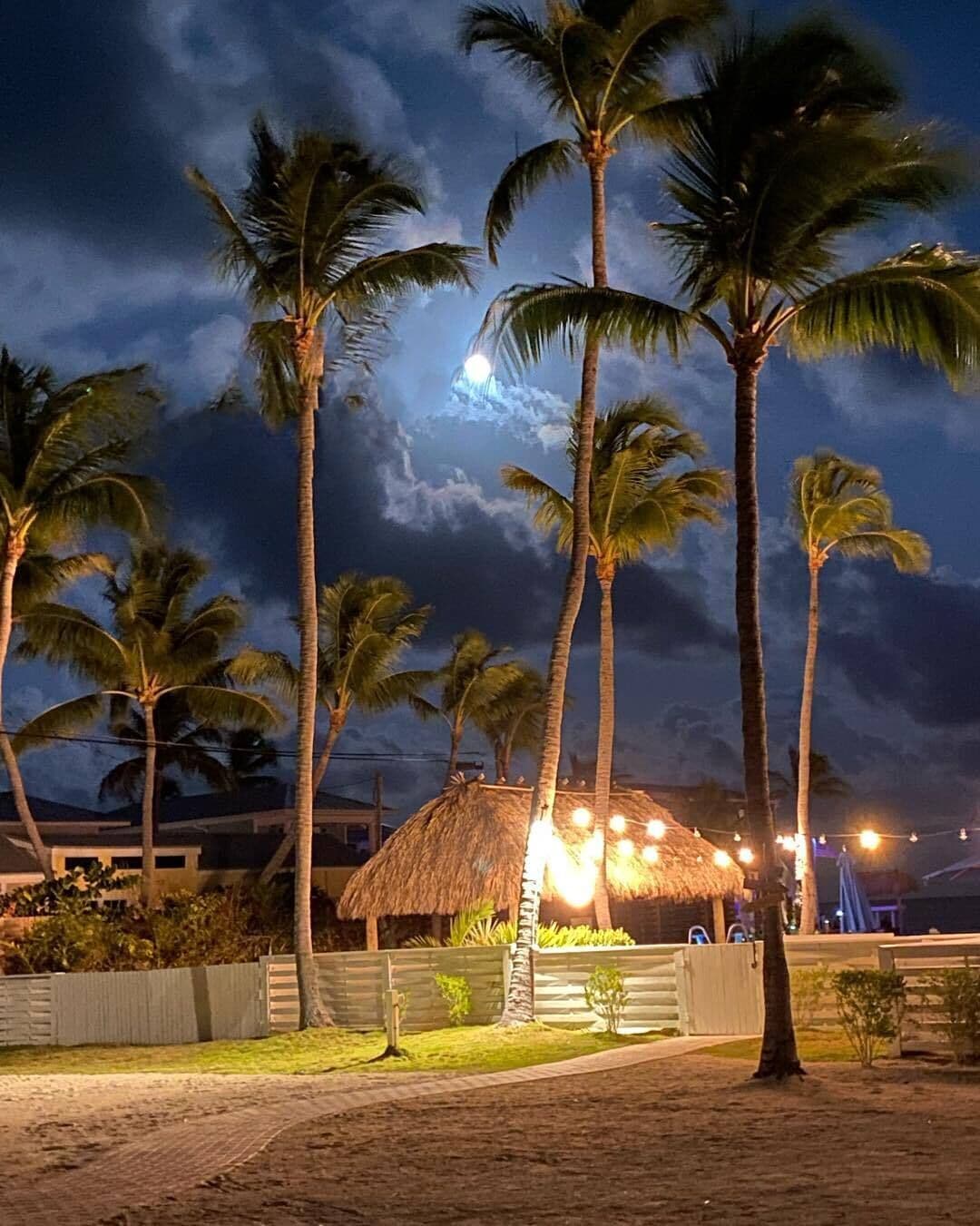 resort view queen family suite w/ kitchen | beach/ocean view