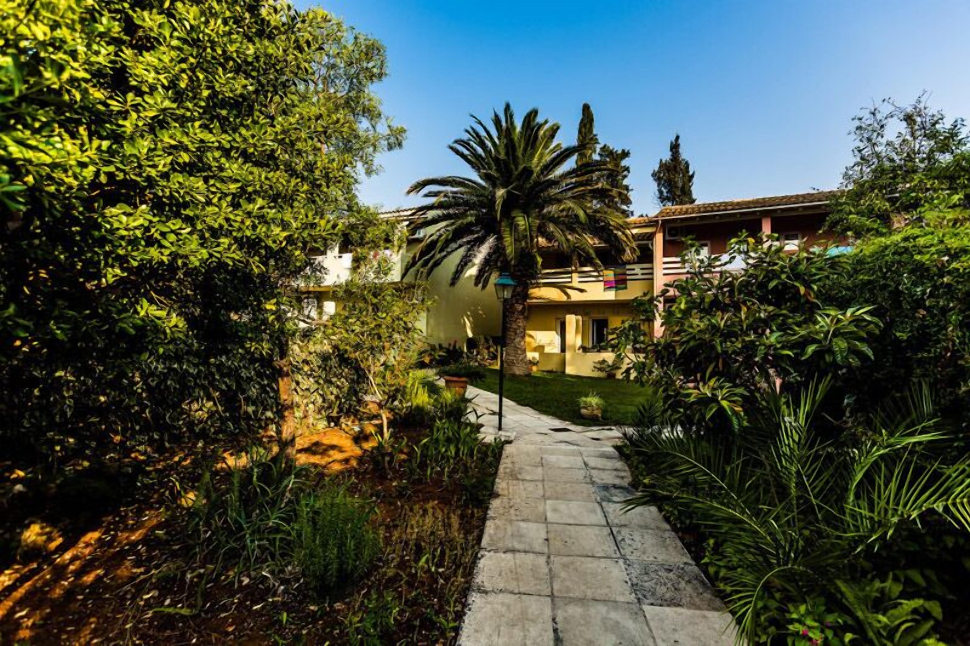 A pathway leading to a building surrounded by lush greenery and a palm tree.