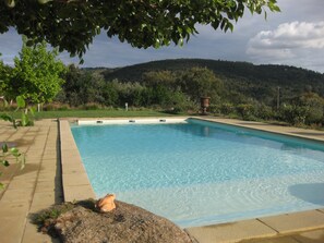 A rectangular swimming pool with clear blue water, surrounded by a paved deck and a grassy area.