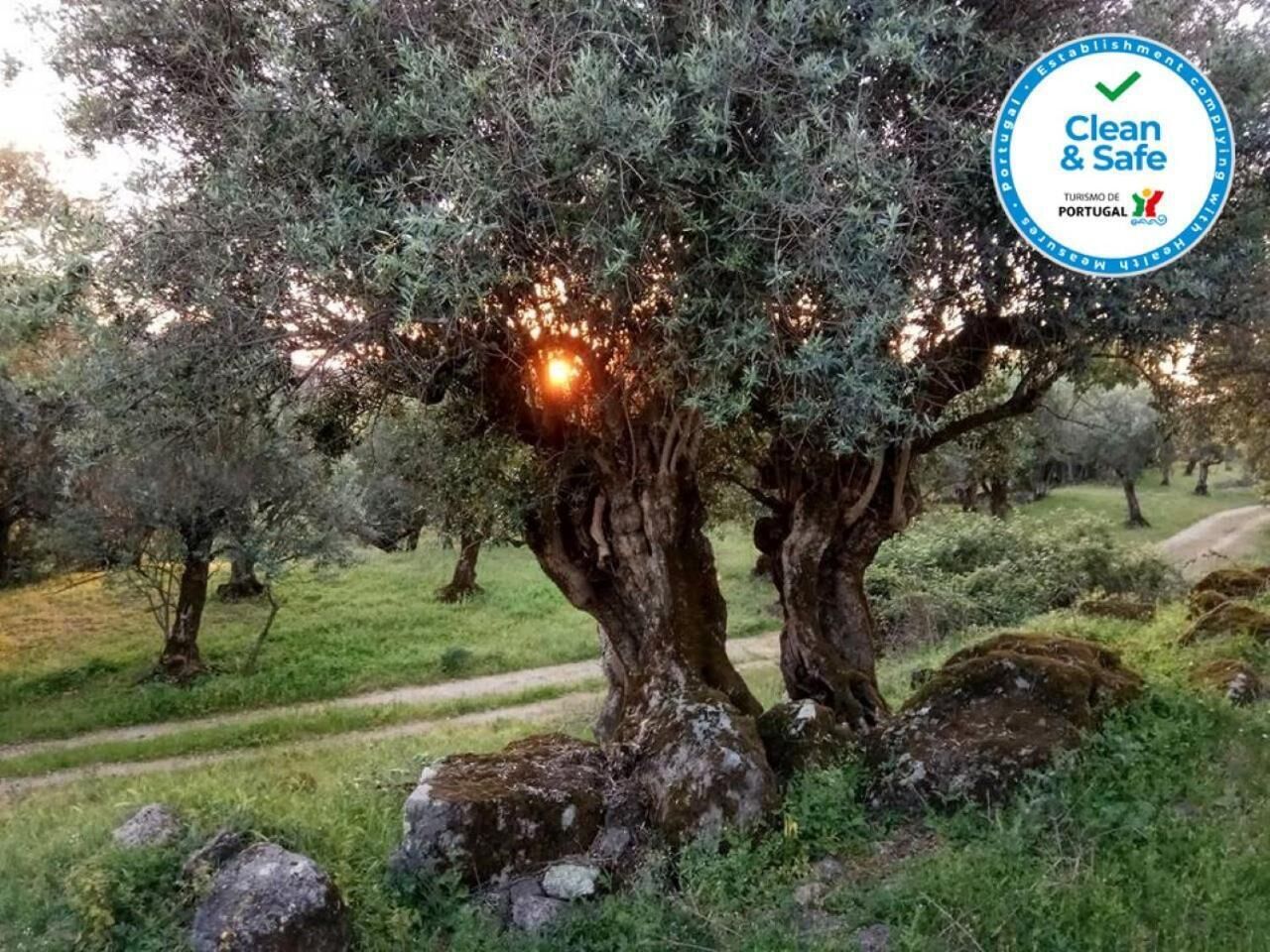 Photo - Convento da Provença