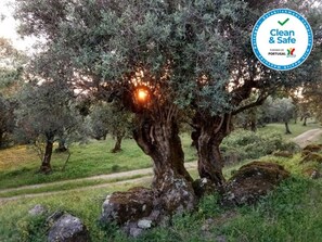 Property grounds - Convento da Provenca (Portalegre)