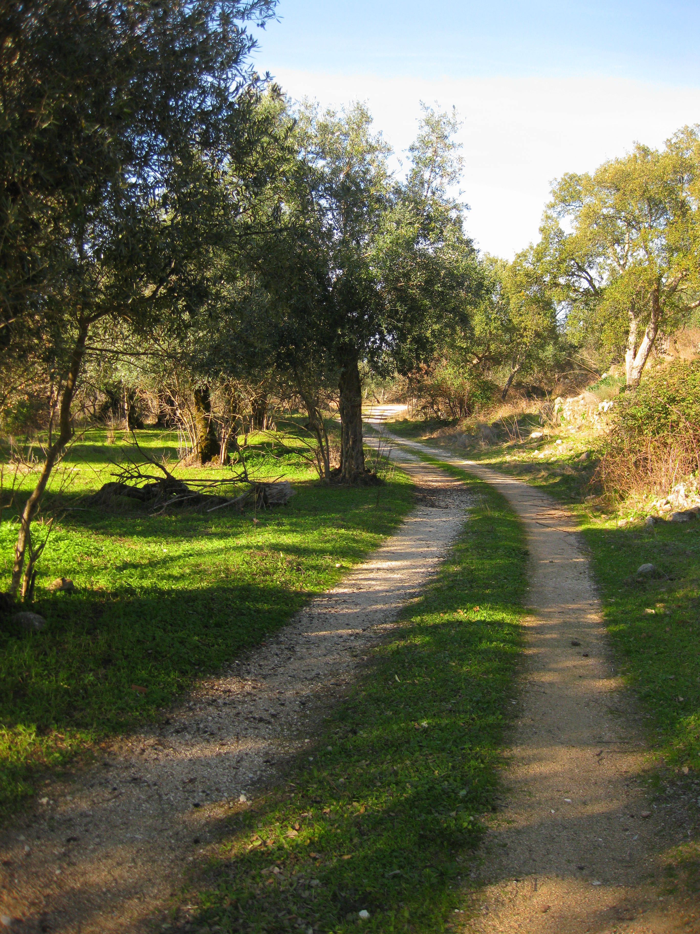 Photo - Convento da Provença