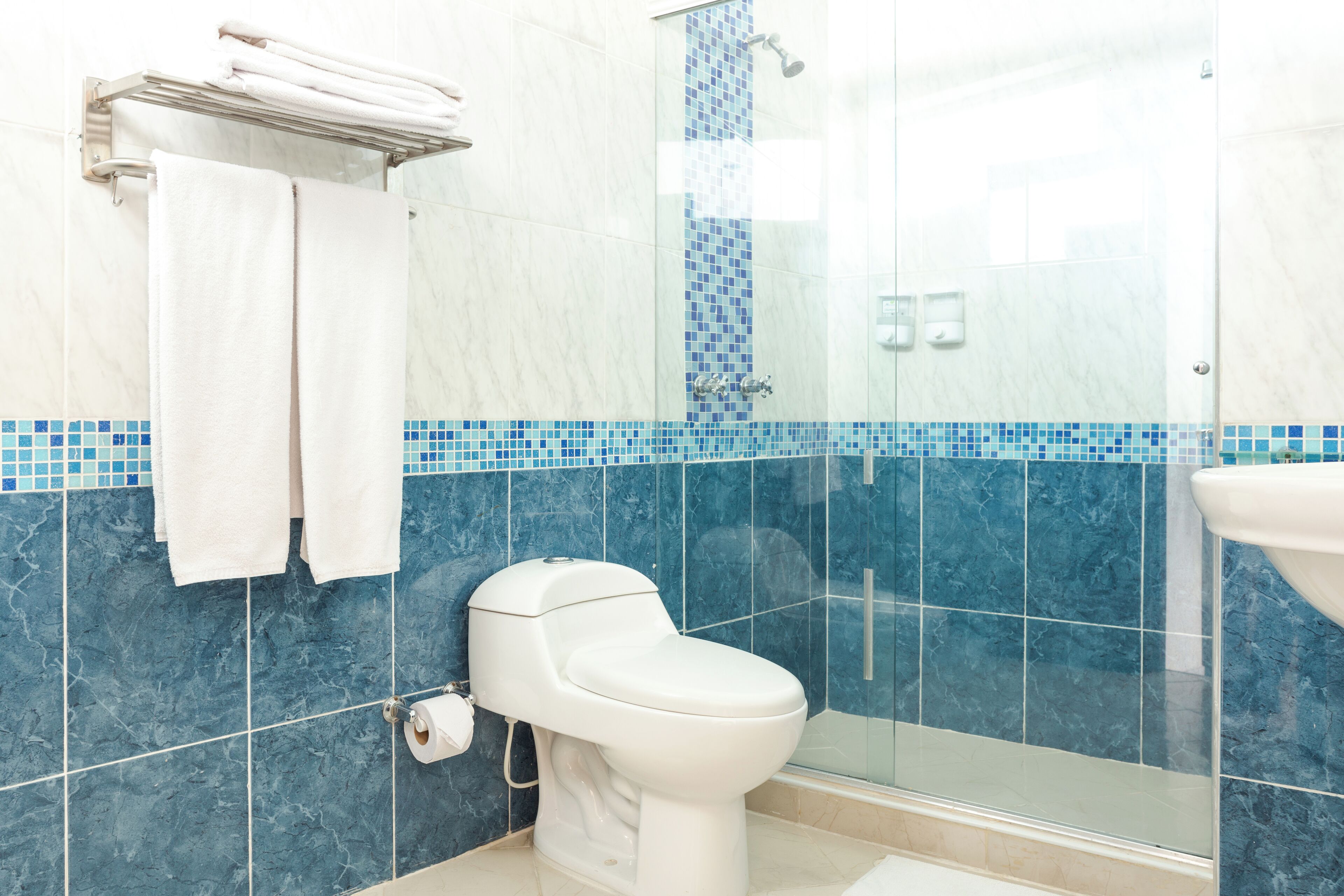 A bathroom with a toilet, a glass shower enclosure, and a sink.