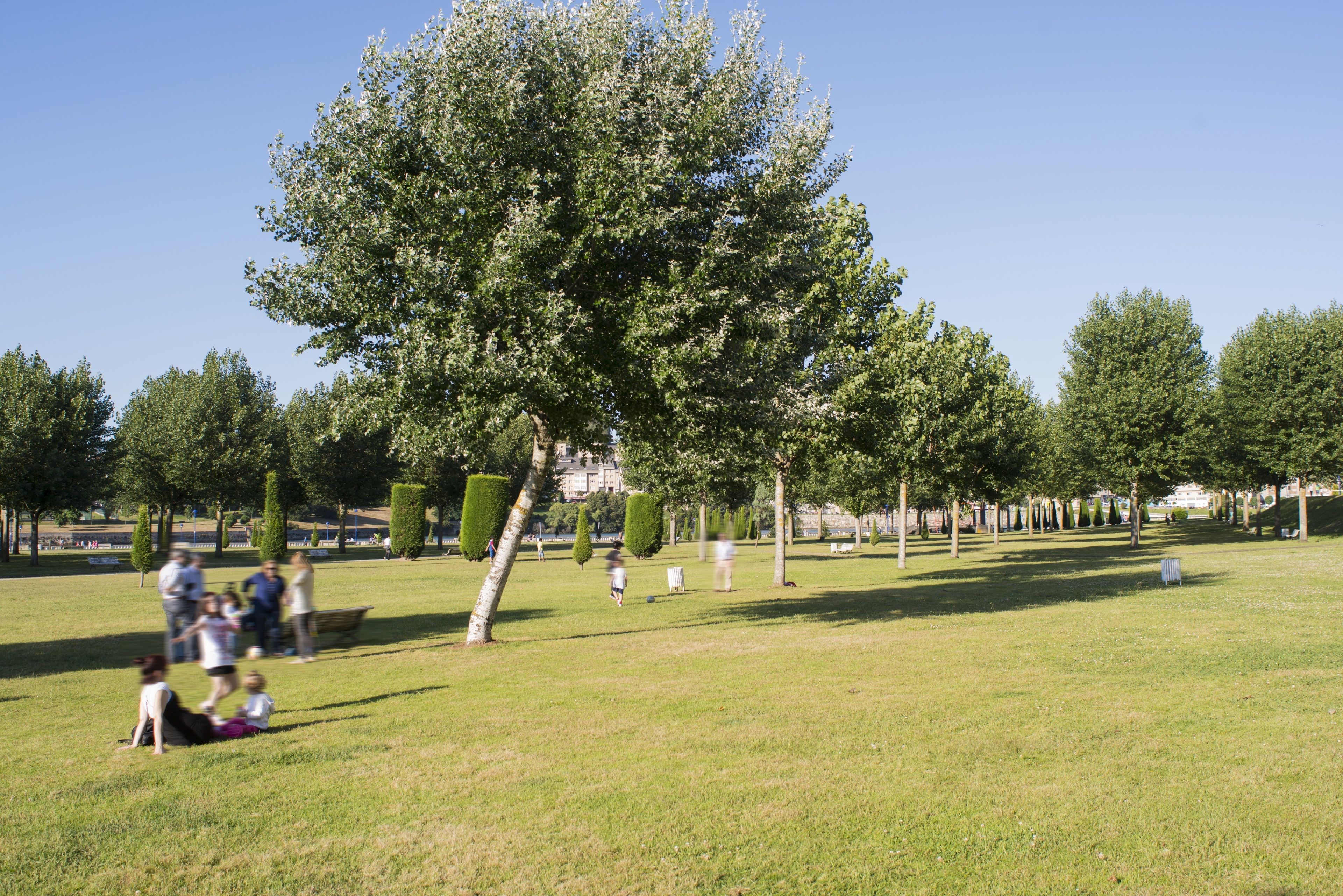 Um parque com uma árvore grande, bancos e pessoas caminhando.