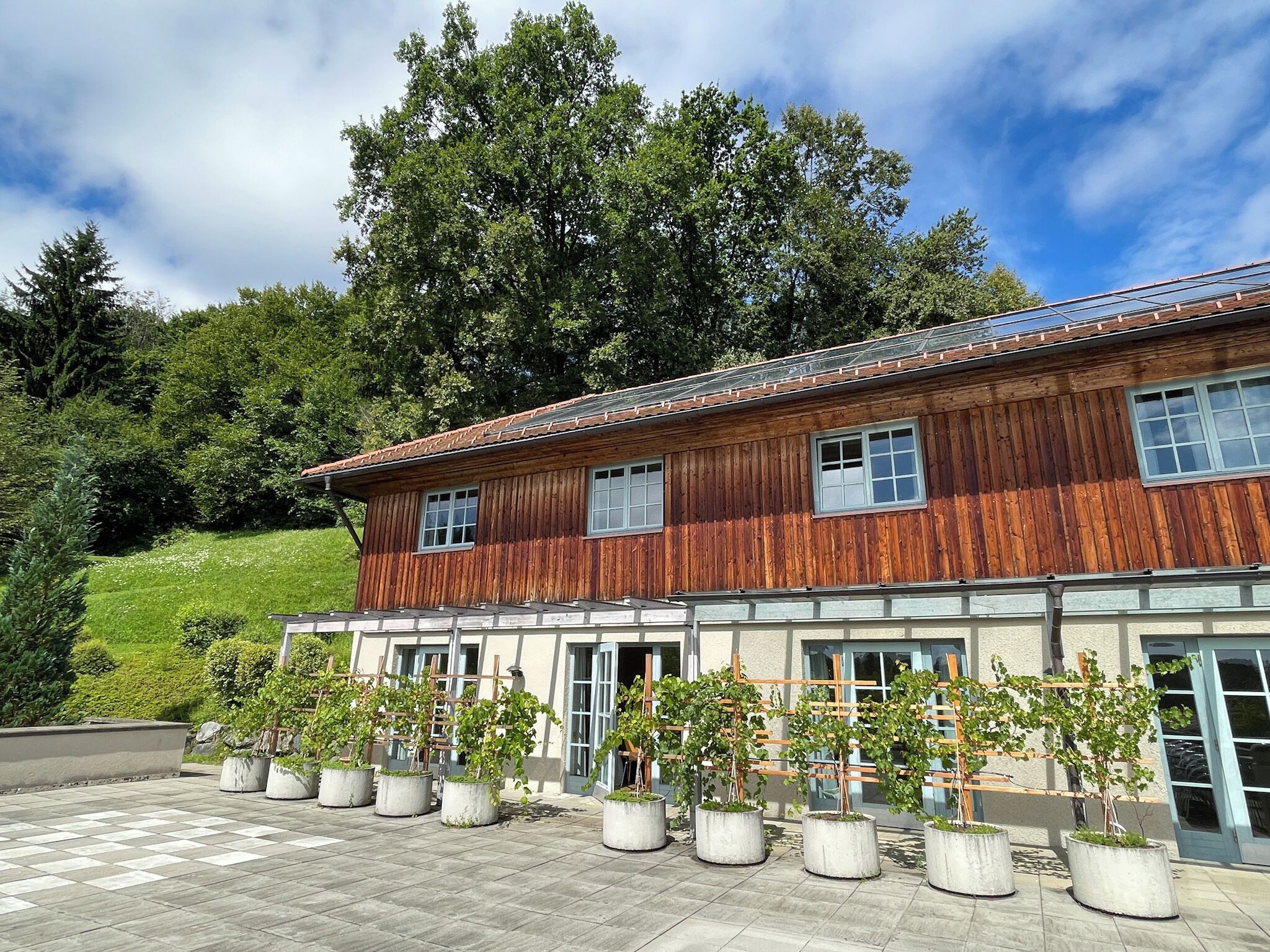 A wooden building with multiple windows and a paved area with potted plants.