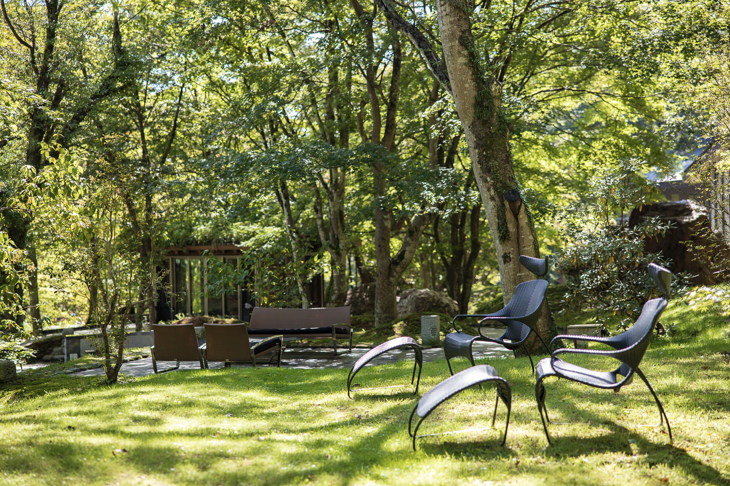 A serene outdoor seating area with a wooden bench and metal chairs, surrounded by lush greenery and trees.