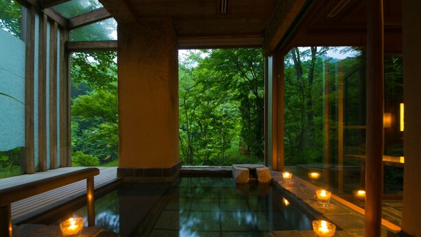 Un área de aguas termales interiores tranquila con vistas a vegetación exuberante.